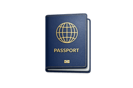 Visa Services